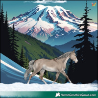 Horse Color:Liver Red Dun Mushroom Splash