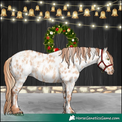 Horse Color:Gold Champagne Dun Appaloosa  and Gold Champagne Dun Appaloosa 