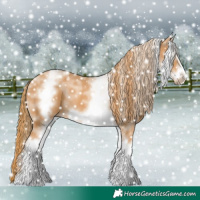 Horse Color:White Spotted Chestnut Sabino Frame