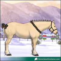 Horse Color:Palomino Dun Tobiano 