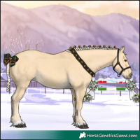 Horse Color:Palomino Dun Tobiano 