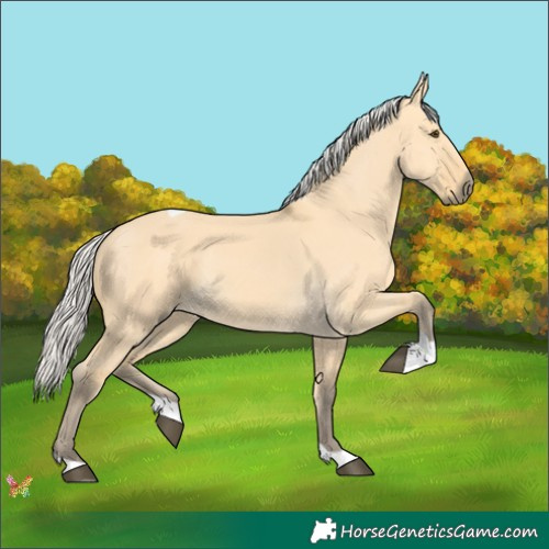 Horse Color:Silver Buckskin Dun Tobiano 