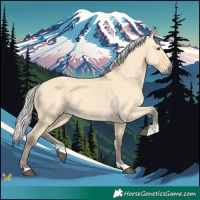 Horse Color:Silver Buckskin Dun Tobiano 