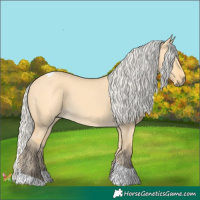 Horse Color:Silver Buckskin Dun Tobiano 