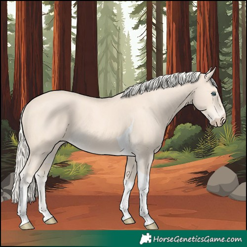 Horse Color:Cremello Tobiano