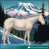 Horse Color:Cremello Dun 