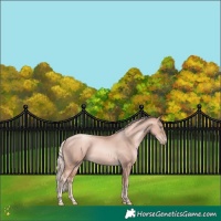 Horse Color:Gold Cream Champagne Pearl  and Gold Cream Champagne Pearl 