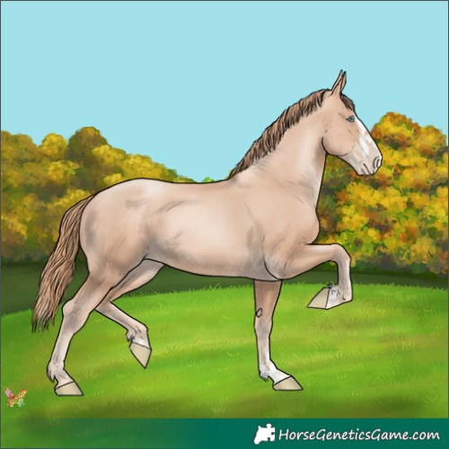 Horse Color:Gold Champagne Pearl Rabicano  and Gold Champagne Pearl Splash Rabicano 