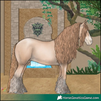 Horse Color:Gold Champagne Pearl Rabicano  and Gold Champagne Pearl Splash Rabicano 