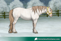 Horse Color:Perlino Roan Dun 