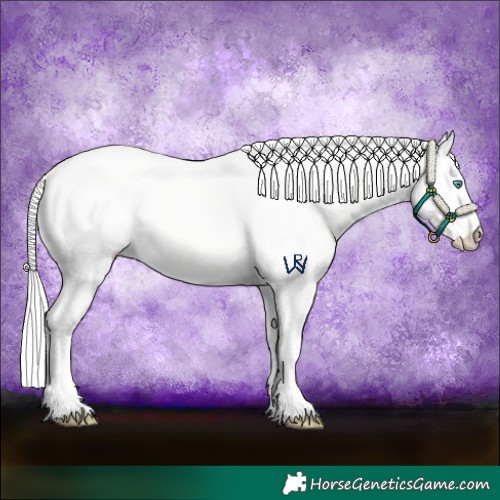 Horse Color:Cremello Dun 