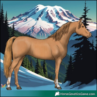 Horse Color:Chestnut  and Chestnut 