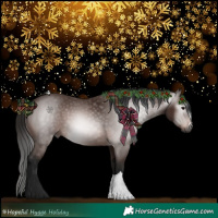 Horse Color:Gray Bay