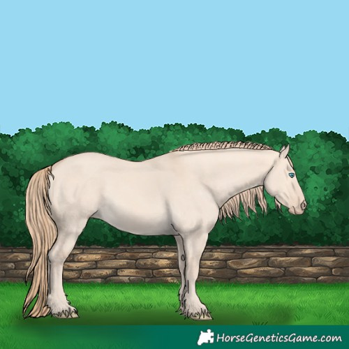 Horse Color:Perlino Dun 