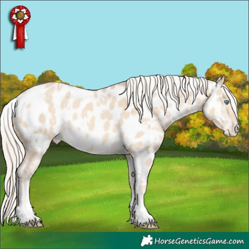 Horse Color:White Spotted Cremello Dun Tobiano Appaloosa 