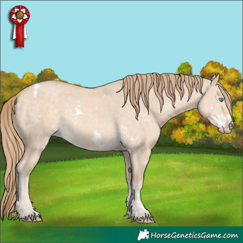 Horse Color:White Spotted Perlino Dun Sabino Rabicano 
