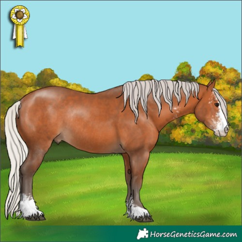 Horse Color:Silver Bay Sabino Rabicano 