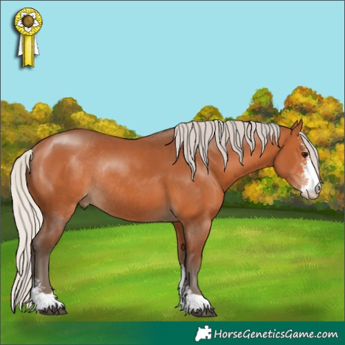 Horse Color:Silver Bay Sabino Rabicano 