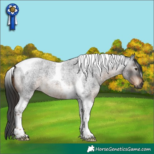 Horse Color:Gray Liver Red Roan Tobiano 