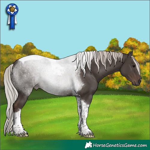 Horse Color:Silver Black Tobiano 