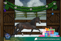 Horse Color:Brown 