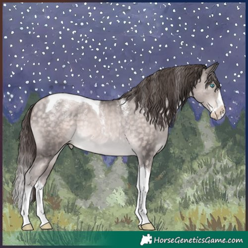 Horse Color:Powder White Platinum Buckskin Pearl Splash Tobiano
