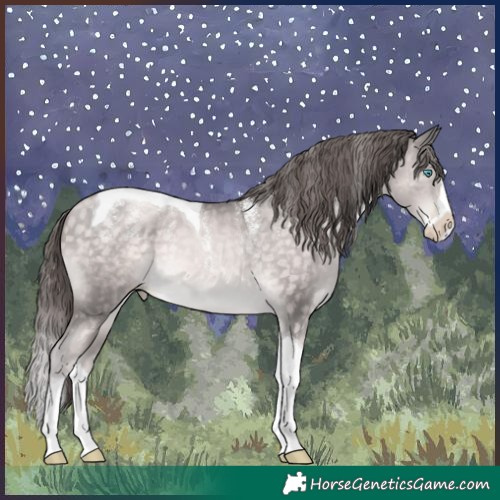 Horse Color:Powder White Platinum Buckskin Pearl Splash Tobiano 