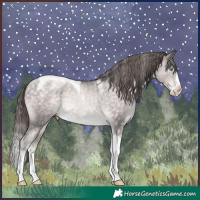 Horse Color:Powder White Platinum Buckskin Pearl Splash Tobiano