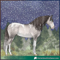 Horse Color:Powder White Platinum Buckskin Pearl Splash Tobiano