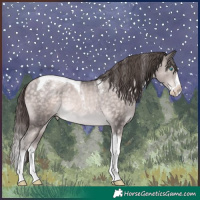 Horse Color:Powder White Platinum Buckskin Pearl Splash Tobiano