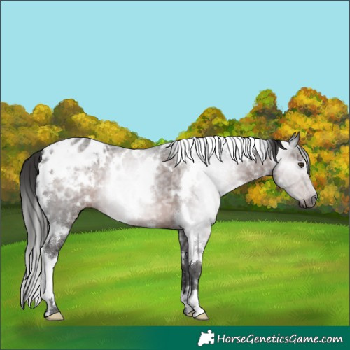 Horse Color:Gray White Spotted Liver Chestnut Ice Blanket 