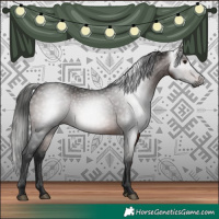 Horse Color:Gray White Spotted Bay