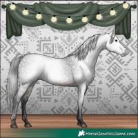 Horse Color:Gray White Spotted Bay