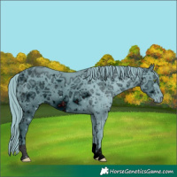 Horse Color:ERROR: UNKNOWN ANOMALY