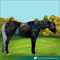 Horse Color:ERROR: UNKNOWN ANOMALY