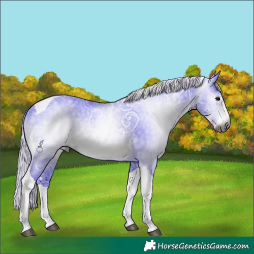 Horse Color:Gray Watercolor Silver Black Ice Sabino Tobiano
