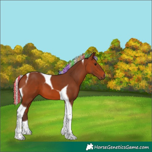 Horse Color:Painted Silver Brown Tobiano