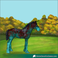 Horse Color:ERROR: UNKNOWN ANOMALY