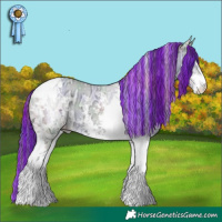 Horse Color:Painted Nacre Amber Champagne Chinchilla Ice Onyx Sabino Tobiano 