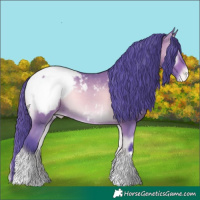 Horse Color:Watercolor Bay Onyx Appaloosa 