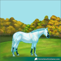 Horse Color:Void Thunderstruck White Spotted Perlino Ice Onyx 