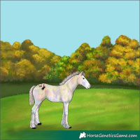 Horse Color:Void Nacre Palomino Ice Onyx Varnish 