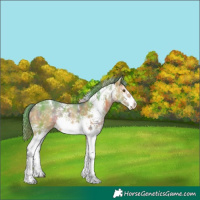Horse Color:Nacre Watercolor White Spotted Bay Ice 