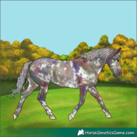Horse Color:Nacre White Spotted Silver Black
