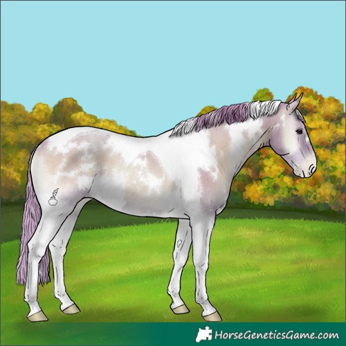 Horse Color:Watercolor White Spotted Blue Onyx Pearl Tobiano