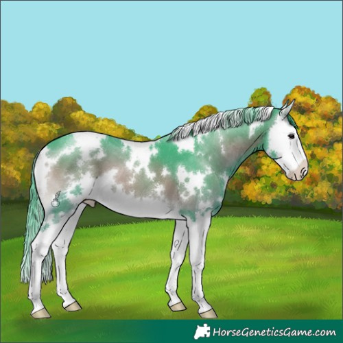 Horse Color:Watercolor White Spotted Blue Onyx Splash 