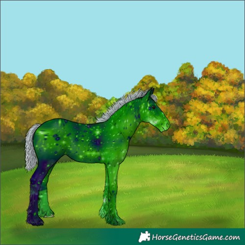 Horse Color:ERROR: UNKNOWN ANOMALY