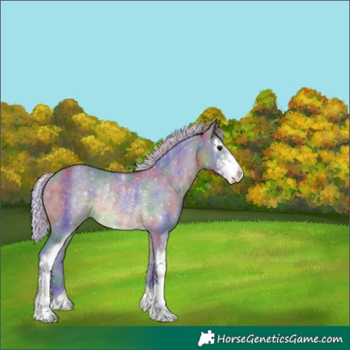 Horse Color:Nacre Watercolor Silver Brown Sabino Varnish Rabicano 