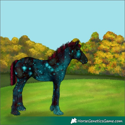 Horse Color:ERROR: UNKNOWN ANOMALY