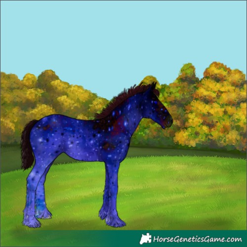 Horse Color:ERROR: UNKNOWN ANOMALY